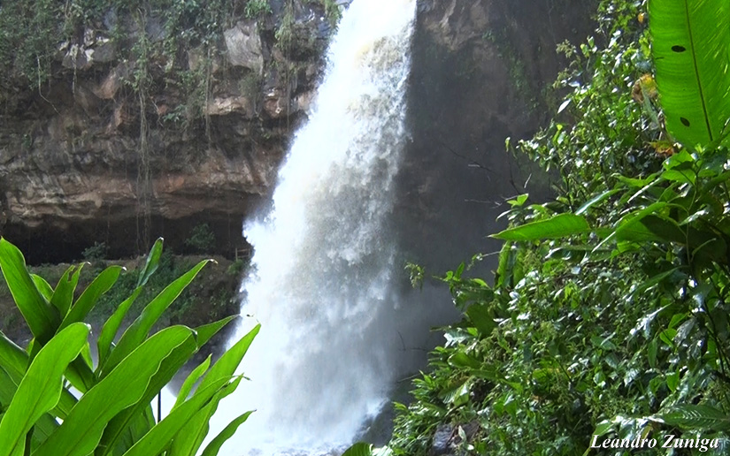 cascada-blanca